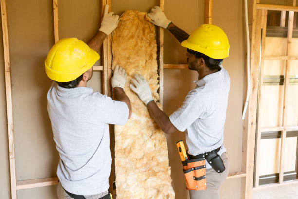 Best Home Insulation Services  in Hollis, OK