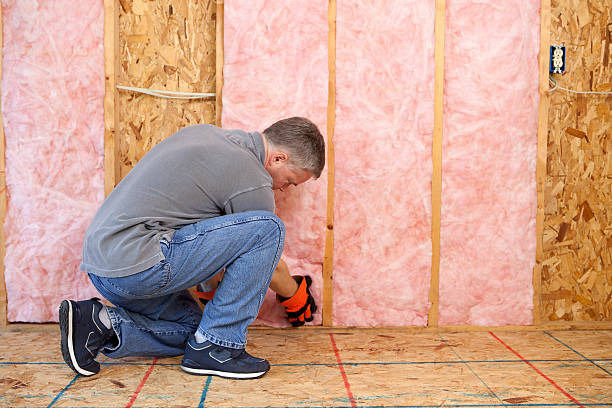 Best Local Insulation Services  in Hollis, OK